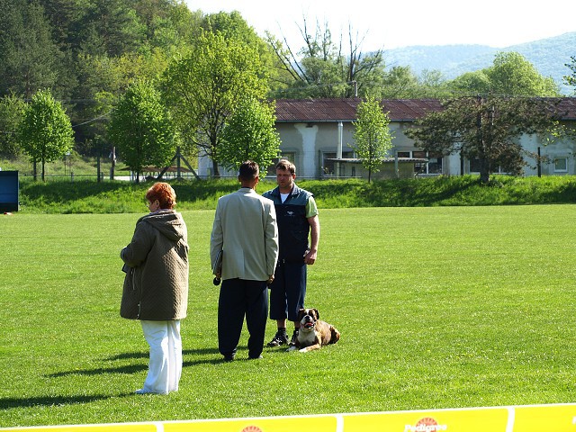 www.atibox.net * www.euroboxer.eu * www.boxergenealogia.eu
